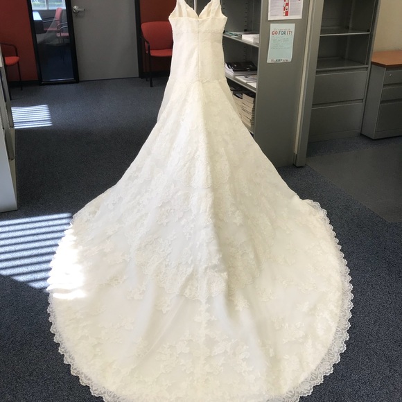 Wedding dress all lace - Picture 7 of 8